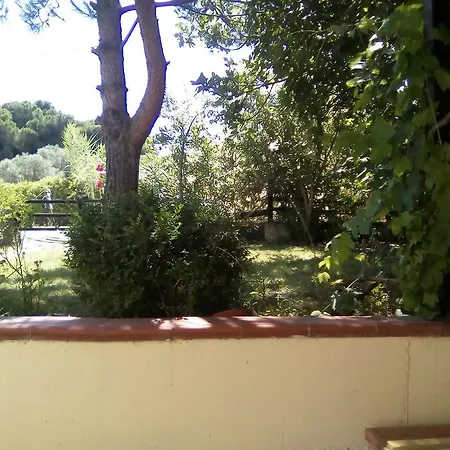 Manolia