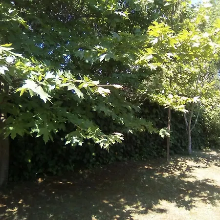 度假居 Manolia
