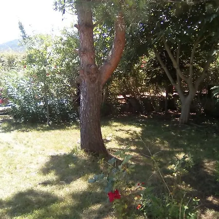 Manolia