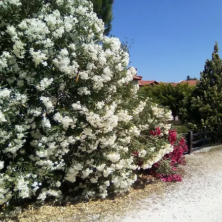 度假居 Manolia *